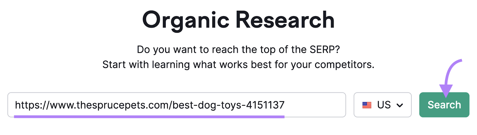URL search in Organic Rankings tool