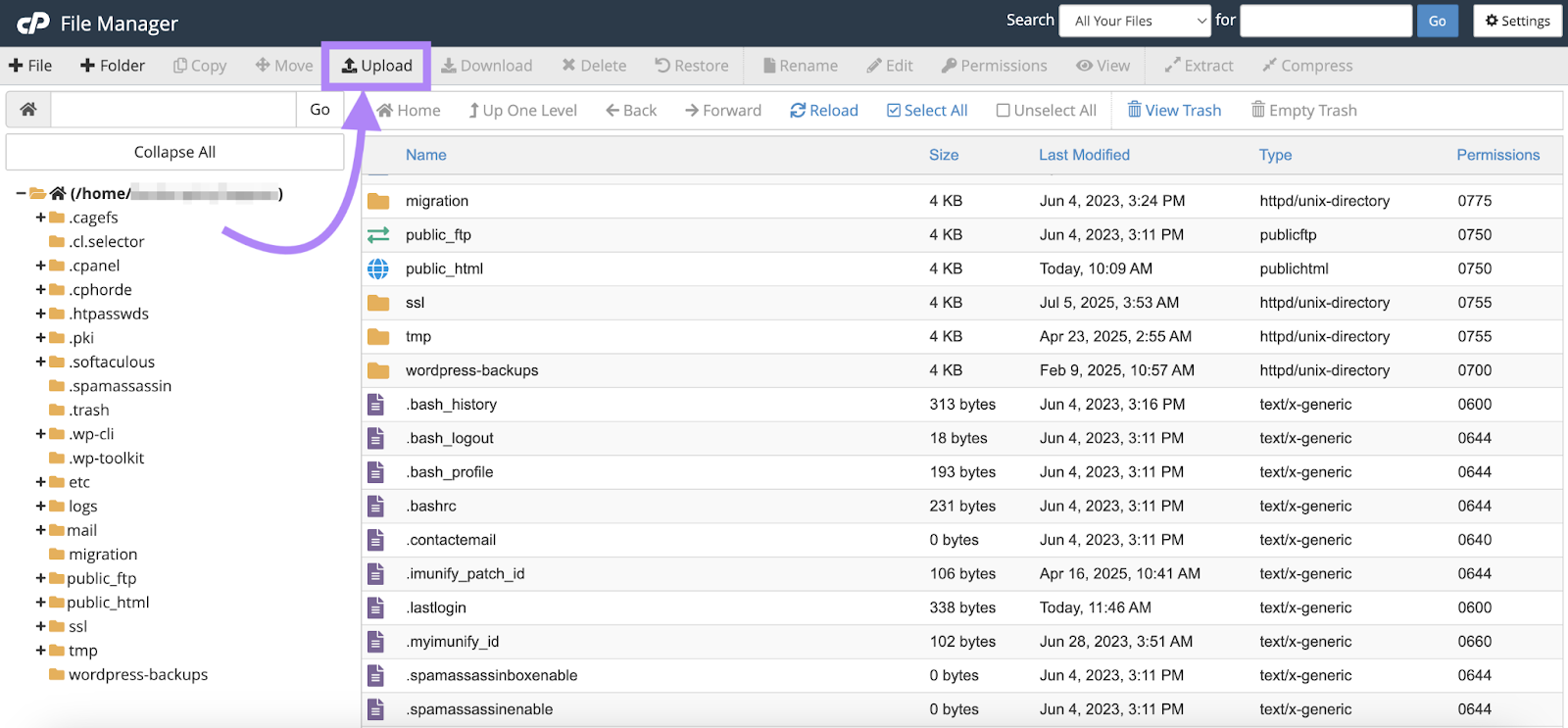 The upload button is highlighted.